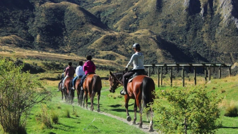 Come along for this relaxed scenic horse trek located on prime Queenstown back country. 